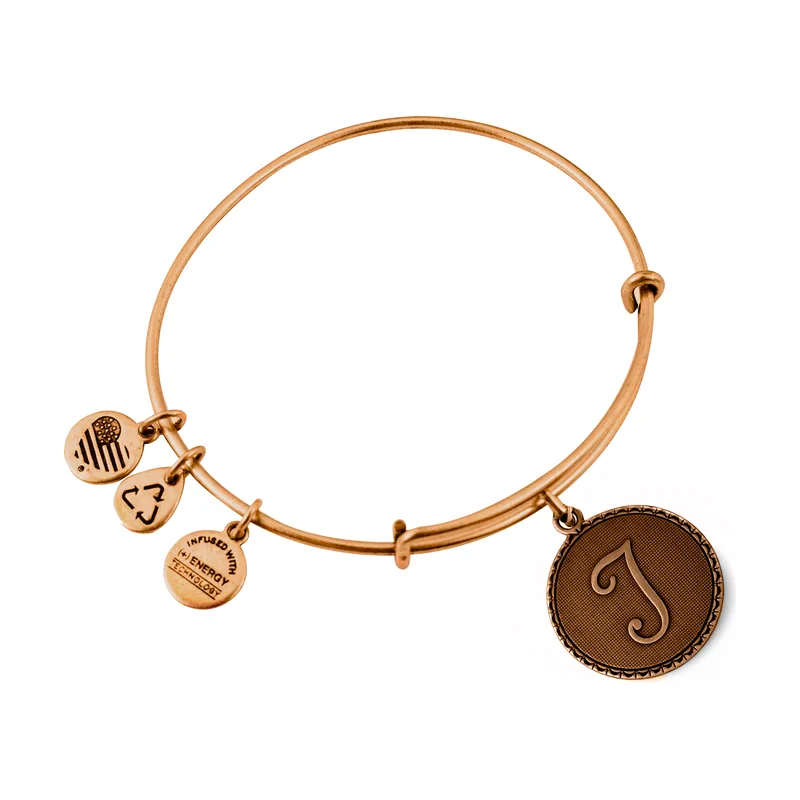 Alex and ani mujer alex and ani a08eb91tg 19-25cm