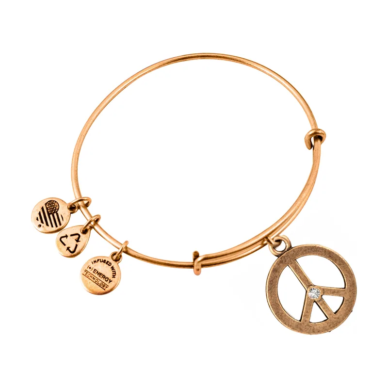Alex and ani mujer alex and ani a09eb139rg 19-25cm