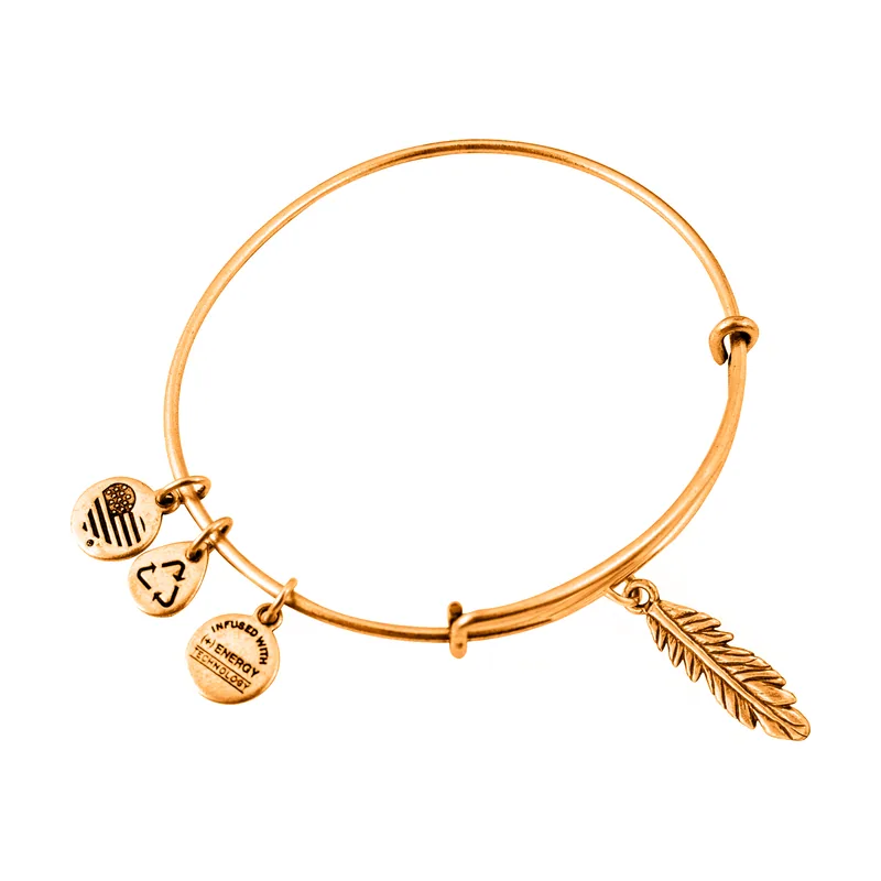 Alex and ani mujer alex and ani a10eb143rg 19-25cm