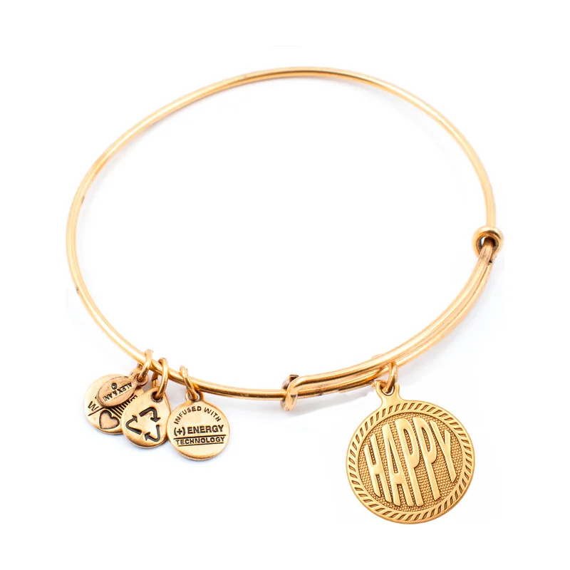 Alex and ani mujer alex and ani a10eb241rg 19-25cm