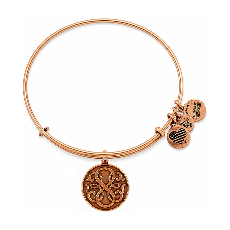 Alex and ani Pulsera expandible en tono dorado de Rafaelian con barra "Camino de la vida"
