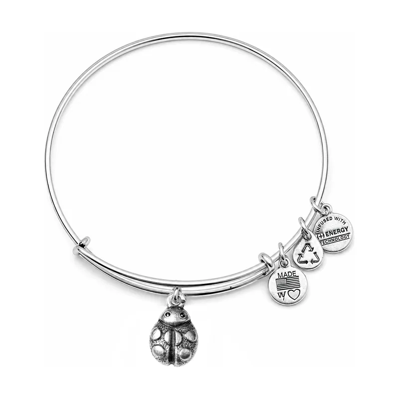 Alex and ani mujer alex and ani a12eb18rs 19-25cm