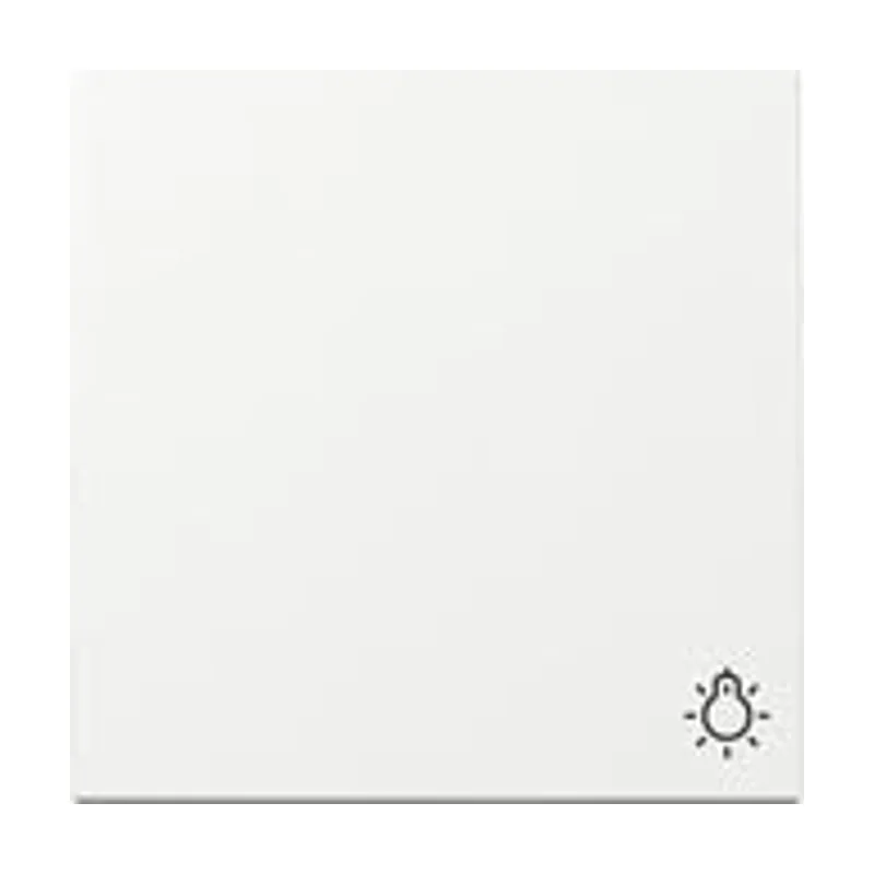Gira 328503 wippe symb. licht system 55 reinweiß