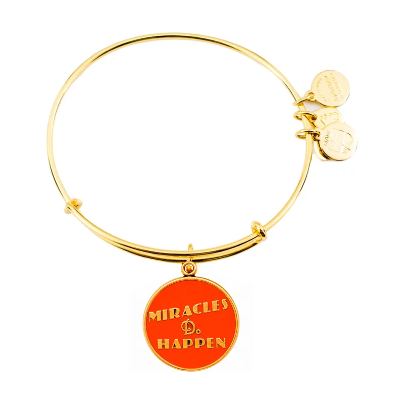 Alex and ani mujer alex and ani a12eb25rgs 19-25cm