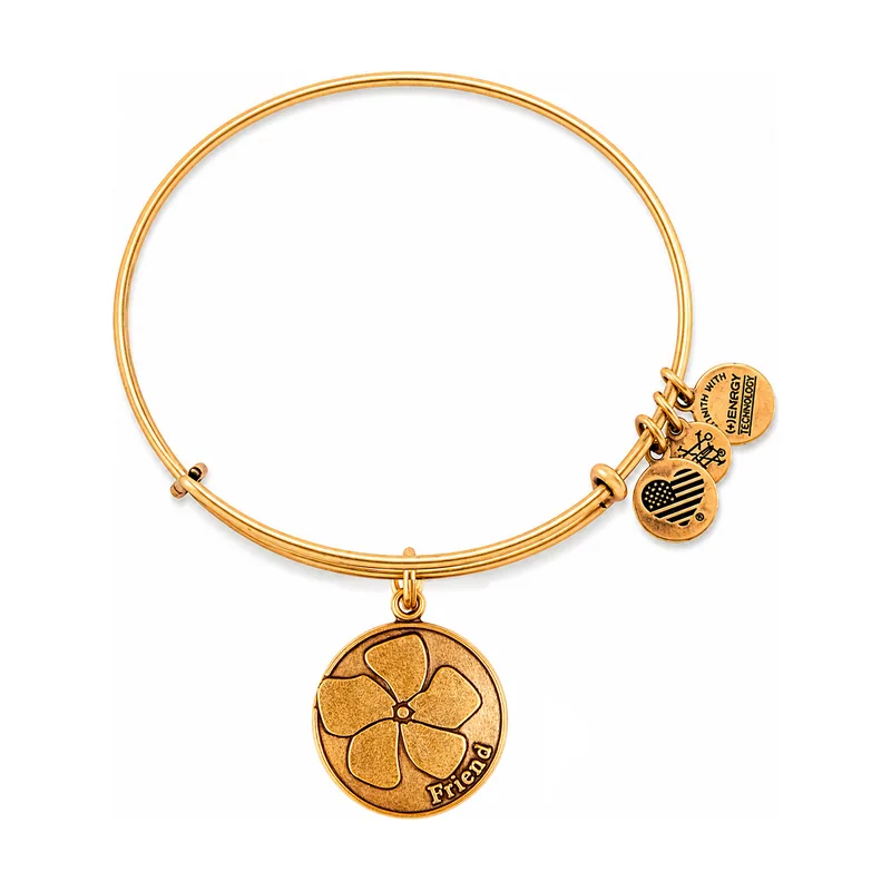 Alex and ani mujer alex and ani a12eb51rg 19-25cm