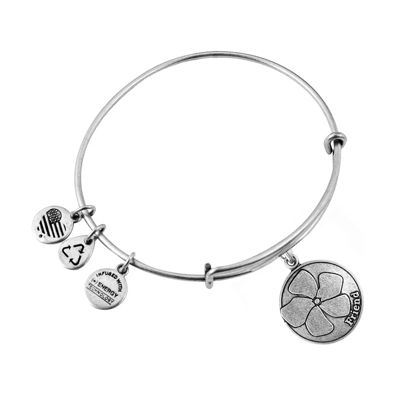 Alex and ani mujer alex and ani a12eb51rs 19-25cm