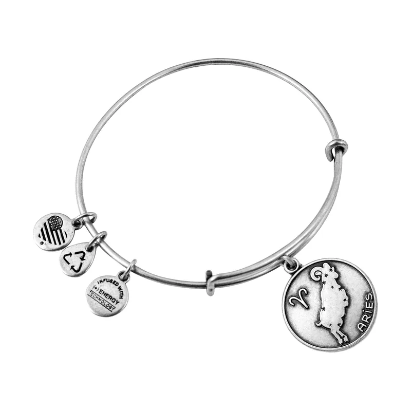 Alex and ani mujer alex and ani a13eb01arrs 19-25cm