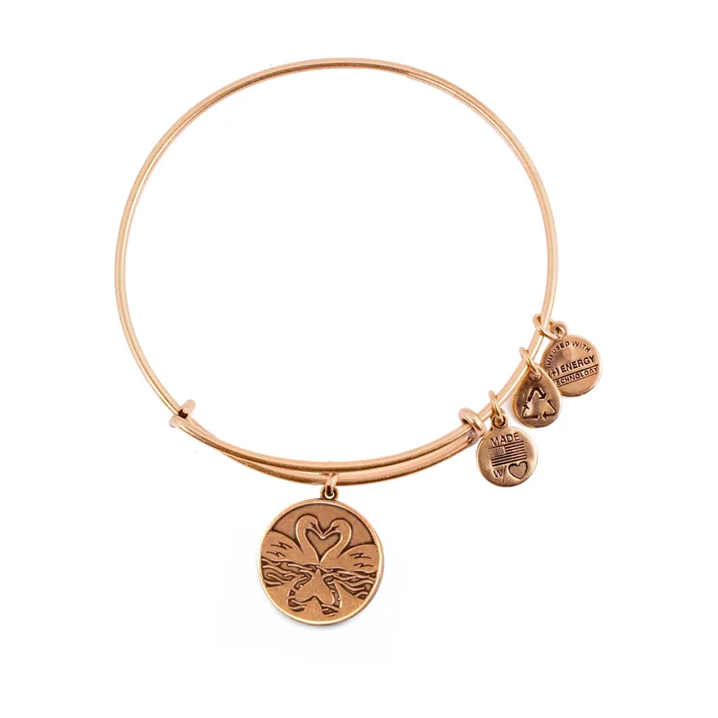 Alex and ani mujer alex and ani a14eb01rg