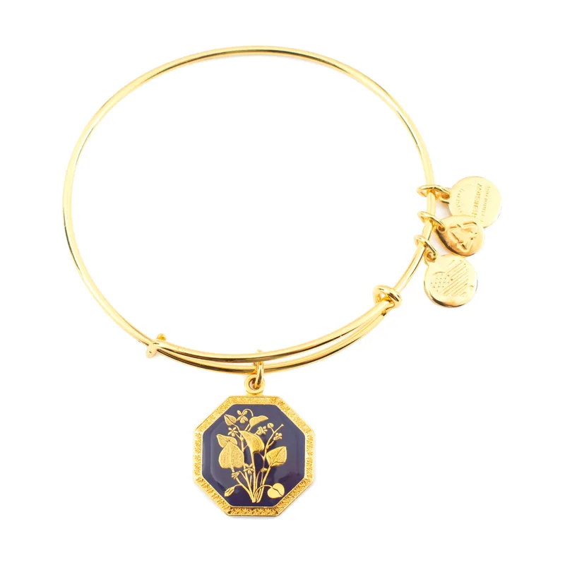 Alex and ani mujer alex and ani a14eb90yg