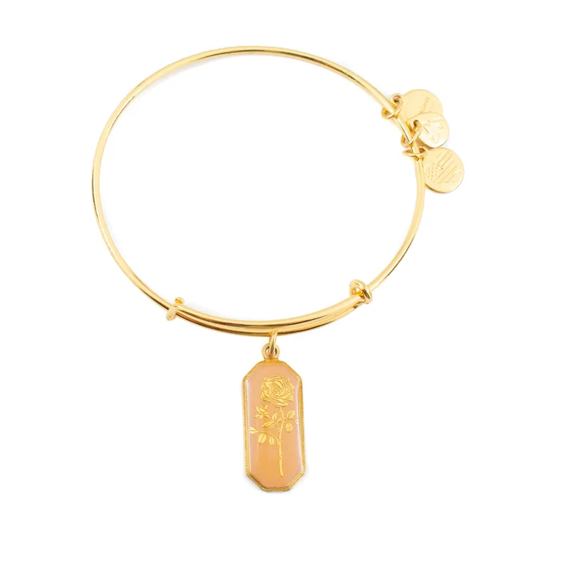 Alex and ani mujer alex and ani a14eb94yg