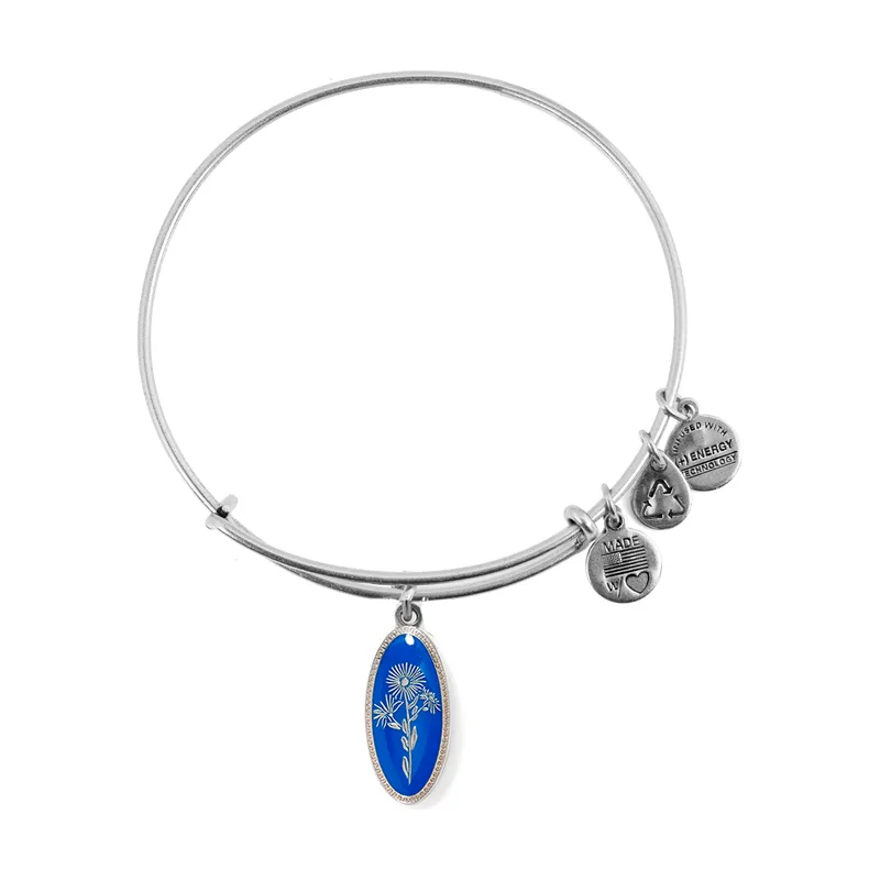 Alex and ani mujer alex and ani a14eb97ss