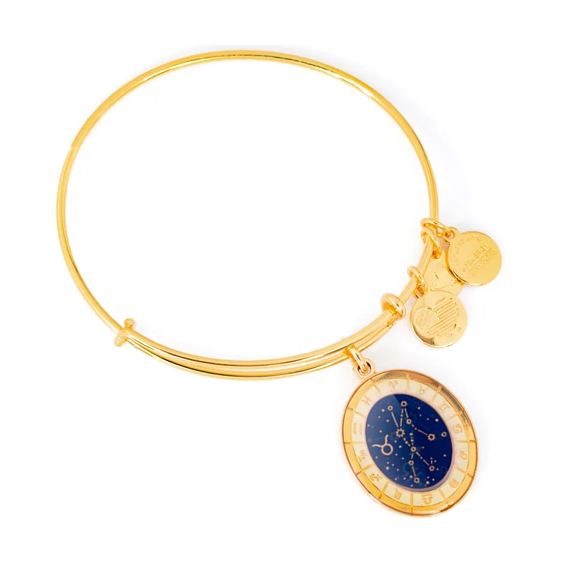 Alex and ani mujer alex and ani a15eb68yg