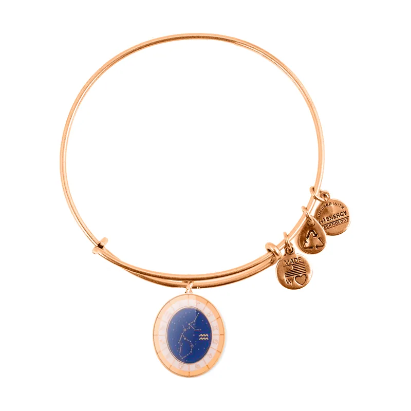 Alex and ani mujer alex and ani a15en30yg