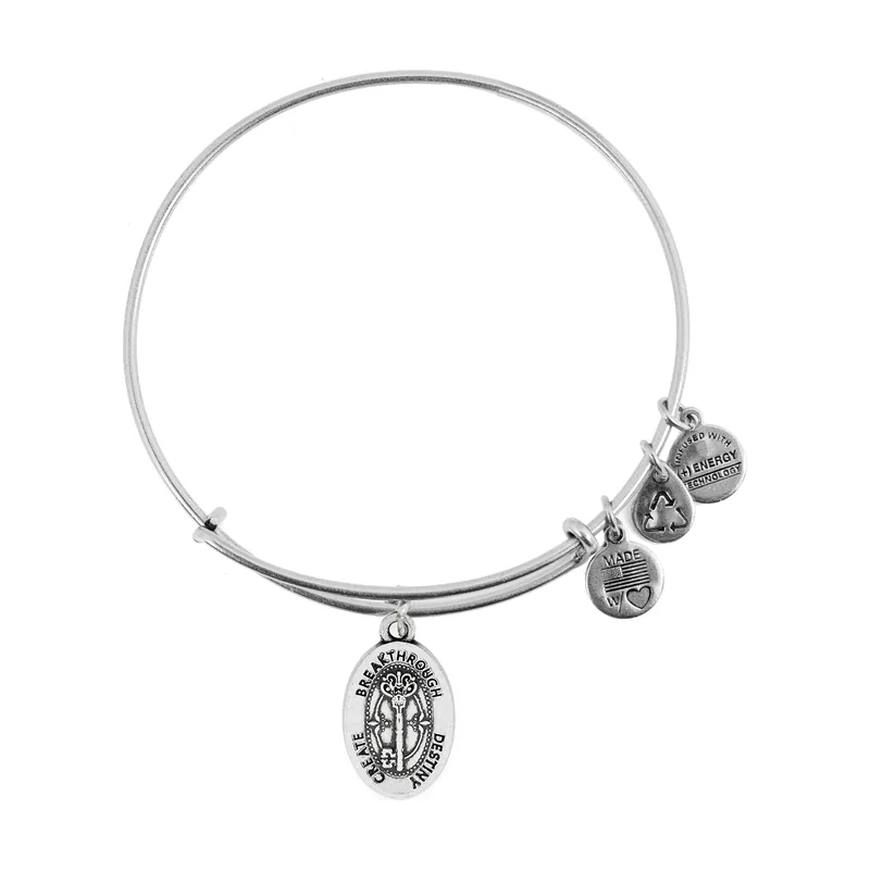 Alex and ani Alex y Ani clave a la vida ampliable rafaelian plata apilable Anillo