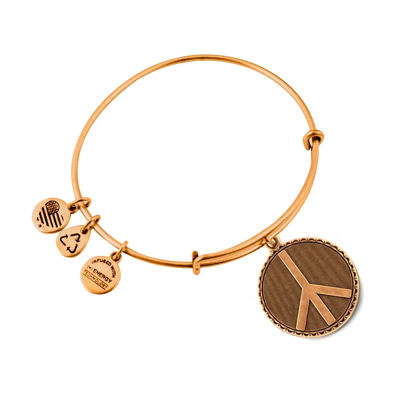 Alex and ani mujer alex and ani a07eb47rg 19-25cm
