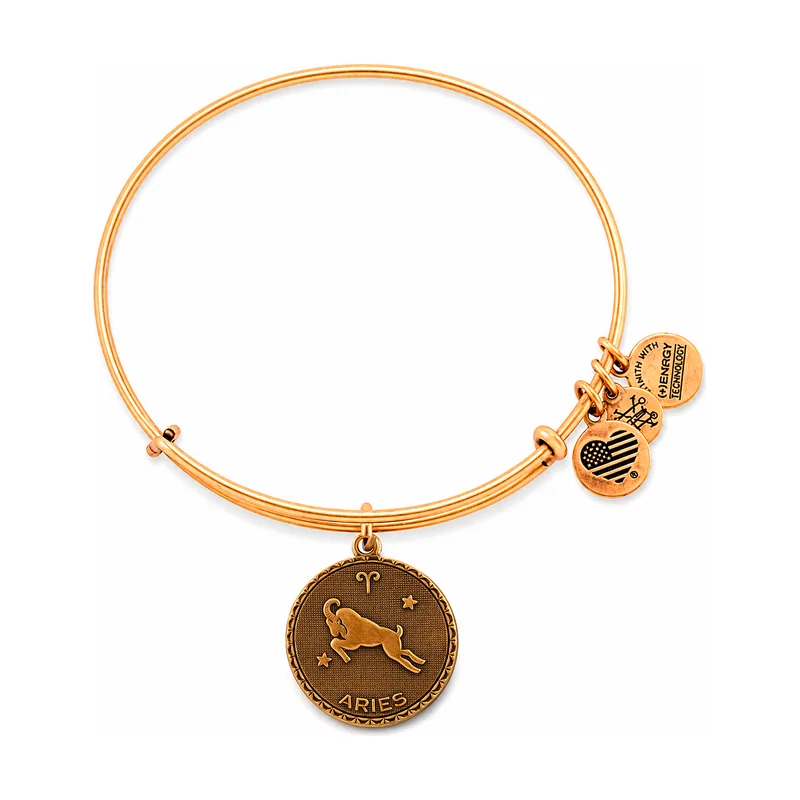 Alex and ani mujer alex and ani a07eb40arrg 19-25cm