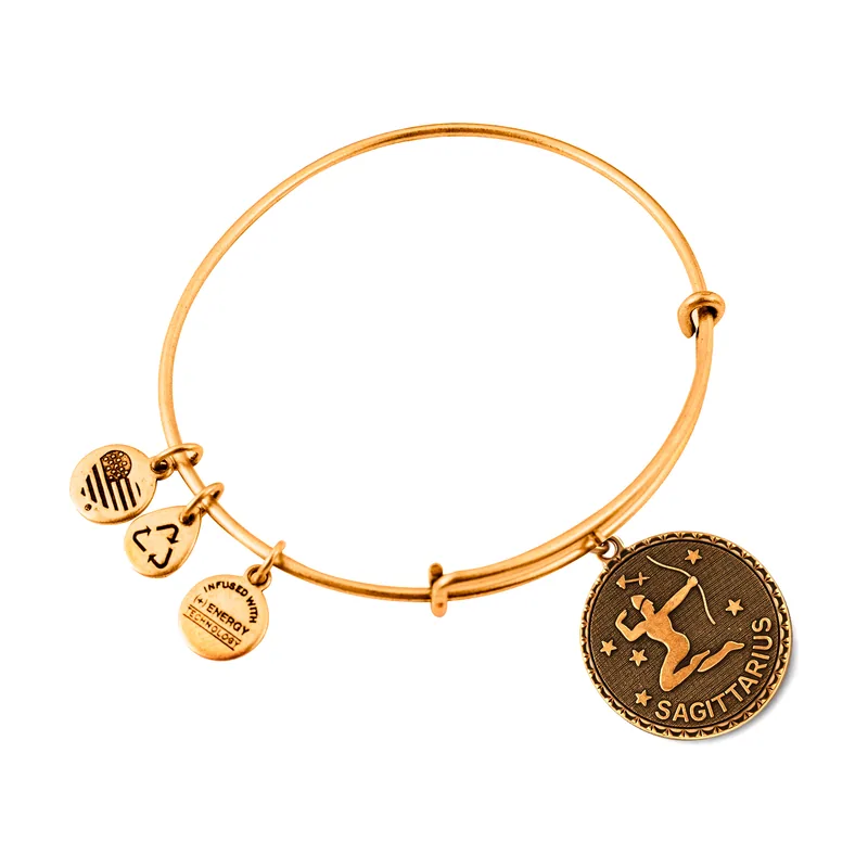 Alex and ani mujer alex and ani a07eb40sarg 19-25cm