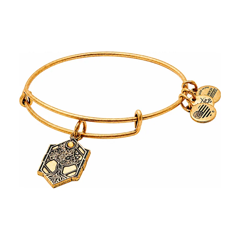Alex and ani mujer alex and ani a17ebtolrg