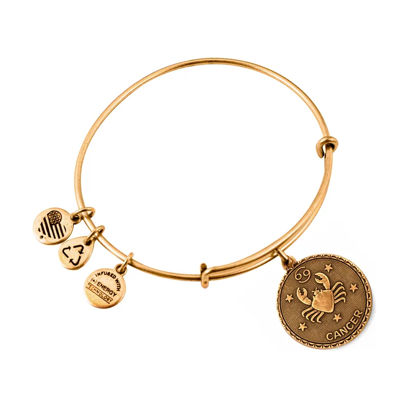Alex and ani mujer alex and ani a07eb40cnrg 19-25cm