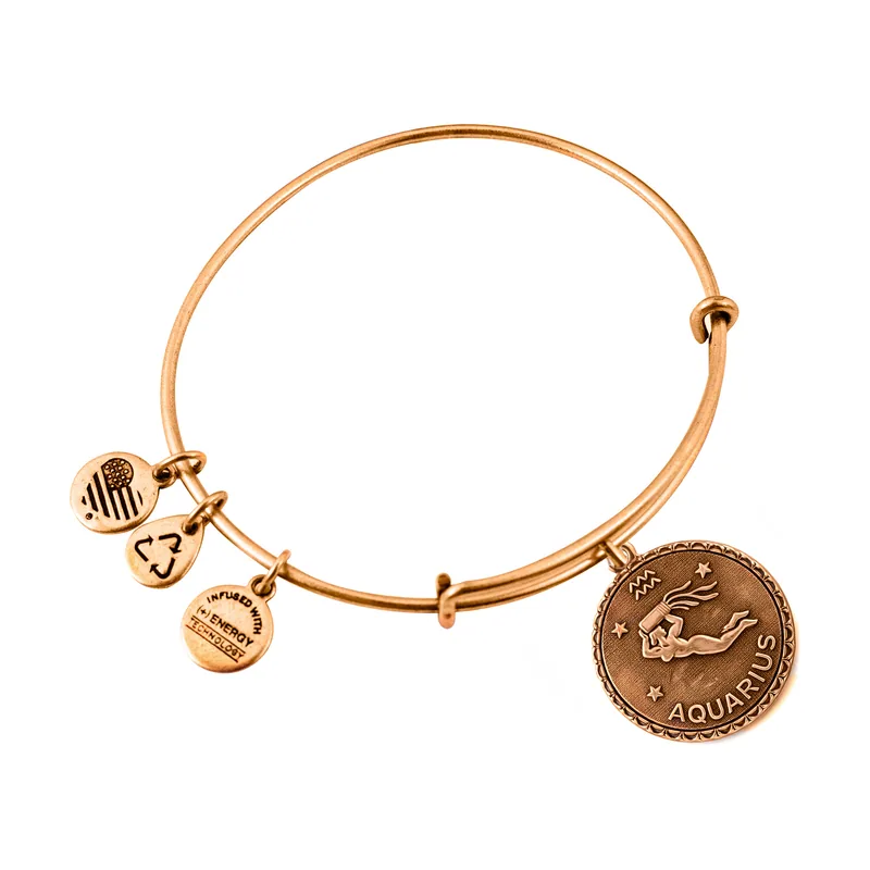 Alex and ani mujer alex and ani a07eb40aqrg 19-25cm