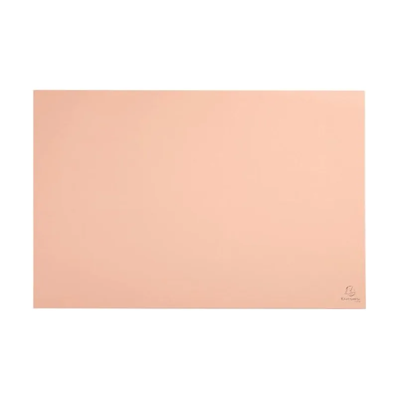 Exacompta 60161D protector de escritorio Cartón