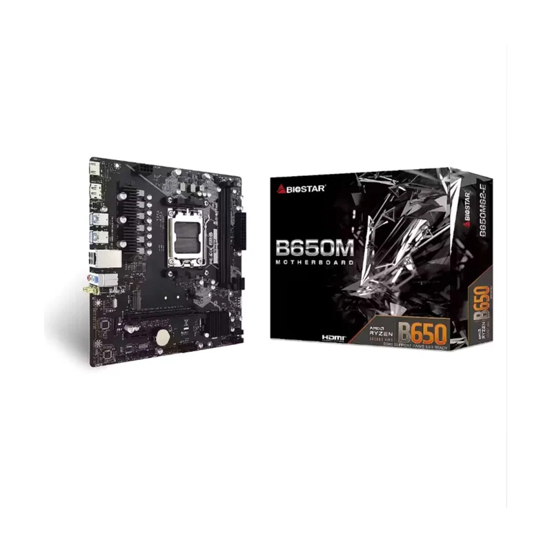 Biostar Płyta główna b650ms2-e