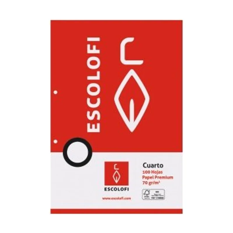 Escolofi Recambio 4º 100h 70gr 2 taladros horizontal c/margen
