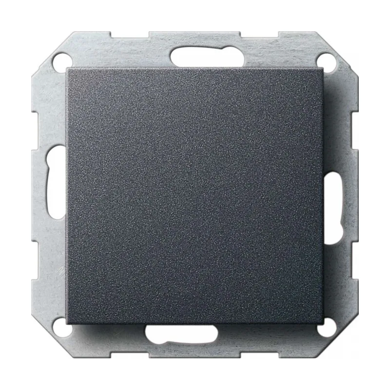 Gira 1730191 placa de pared y cubierta de interruptor
