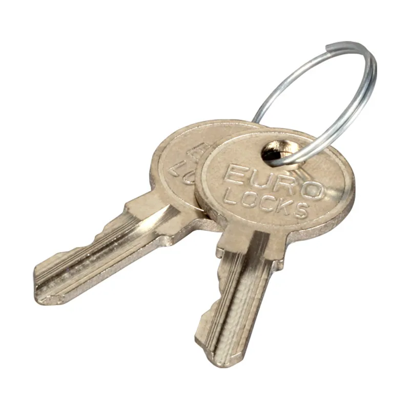 Efb elektronik 102115 llave para armario de control