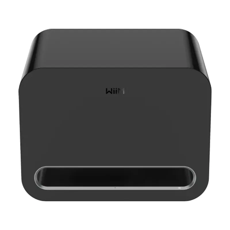 Wiim Sub Pro Negro Altavoz de subgraves subwoofer activo 250 W