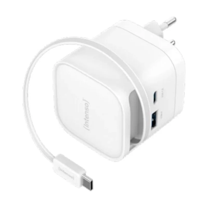 Intenso 7806520 adaptador e inversor de corriente Interior 65 W