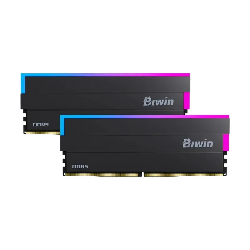 Biwin dw100 ddr5 6000