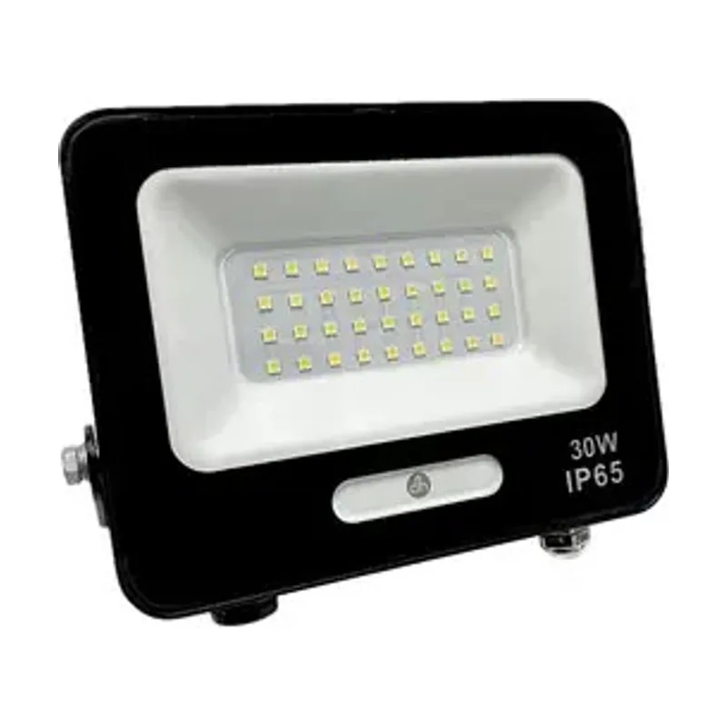 Electro DH Foco Led 30w 6500k Blanco Dia Ip65 Acabado Negro 81.784/30/n/dia