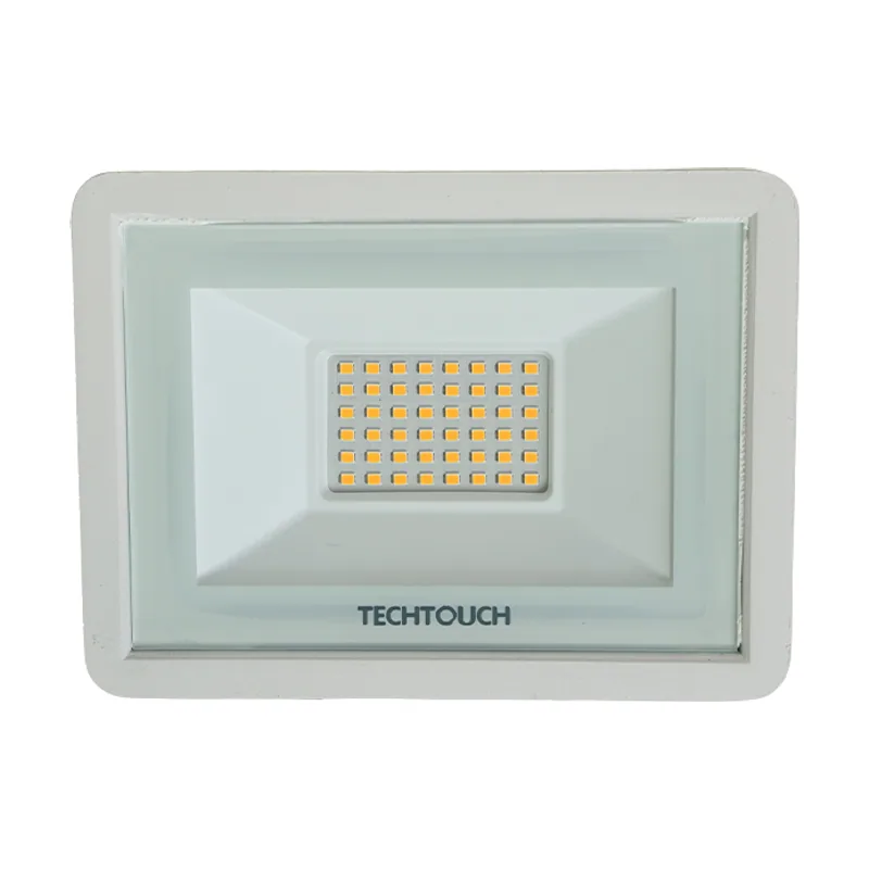 Techtouch x2 supervision ip65 1x30w