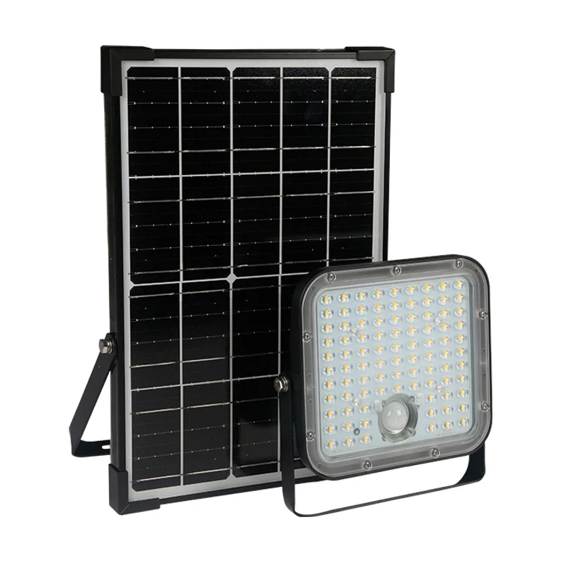 Lumit solar legrand ip66 1x30w
