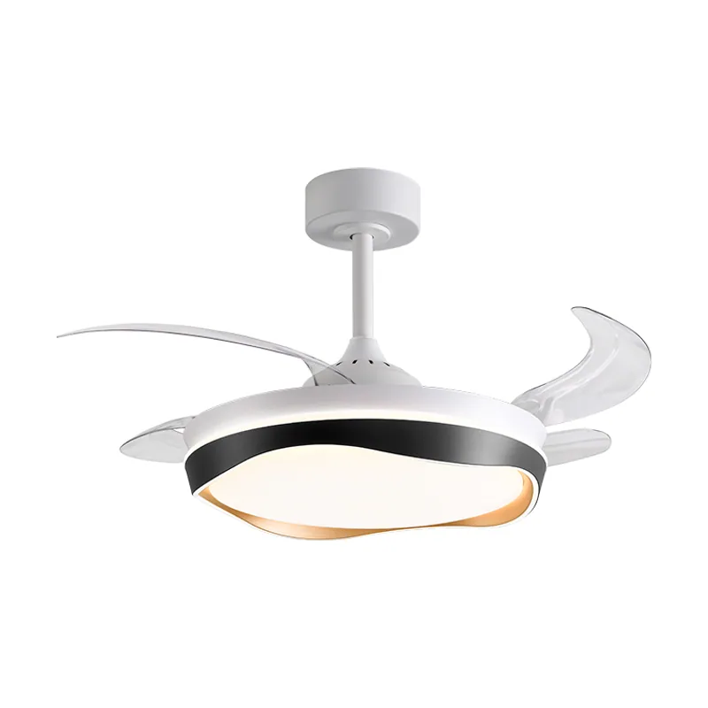 Belair dc almati negro-oro