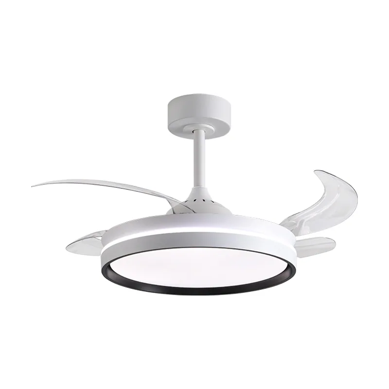 Belair dc akran