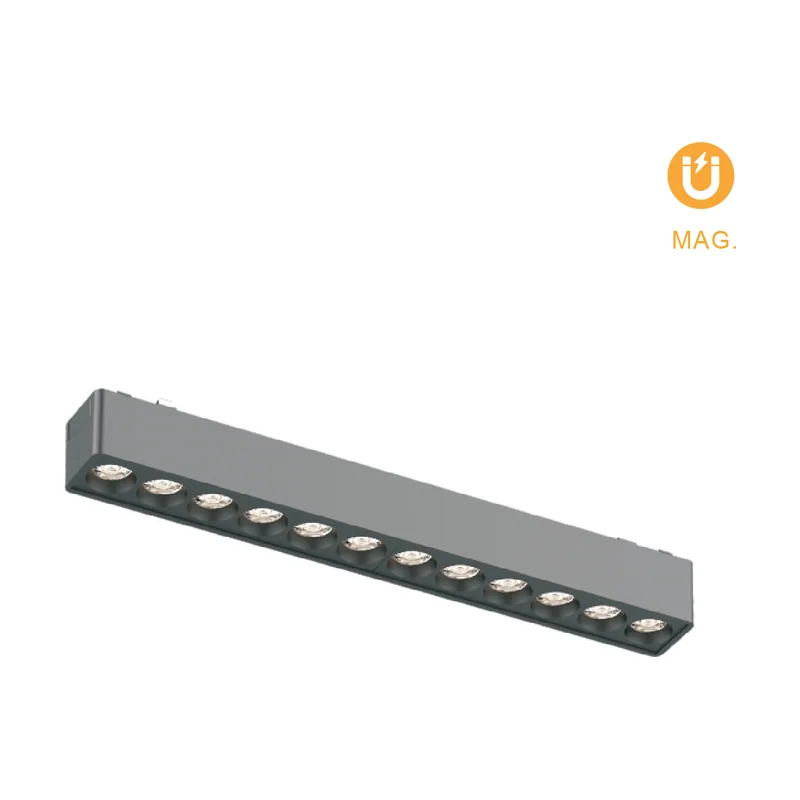 Lumit carriles magnéticos piquet 2 hilos