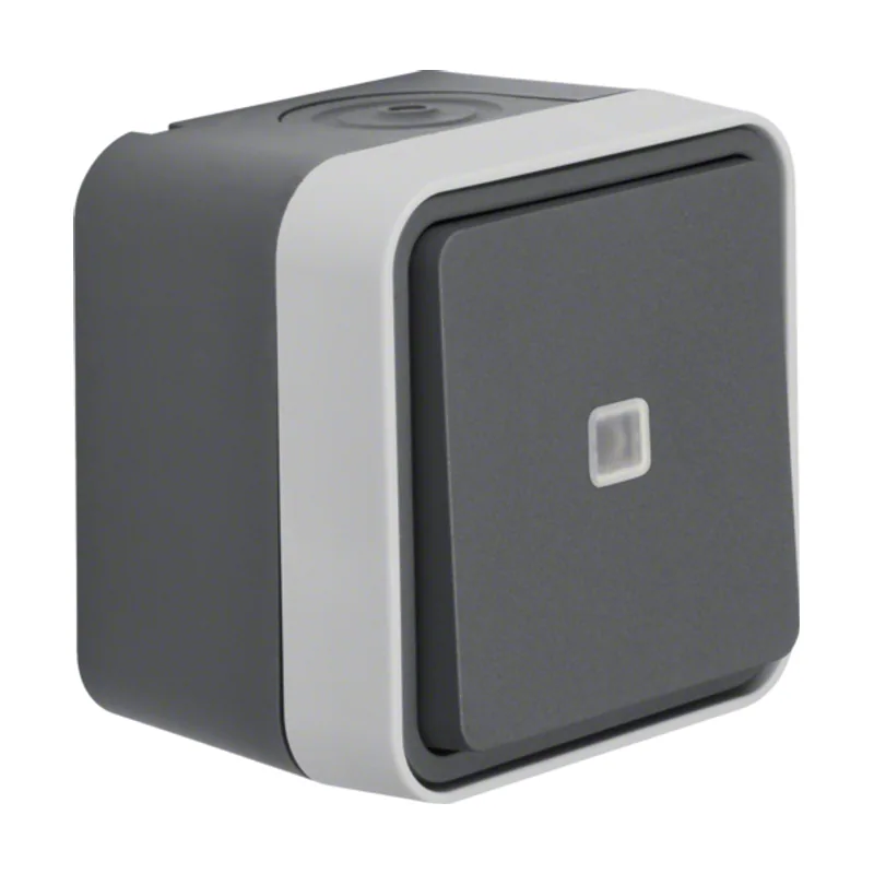 Berker 30763525 interruptor de luz