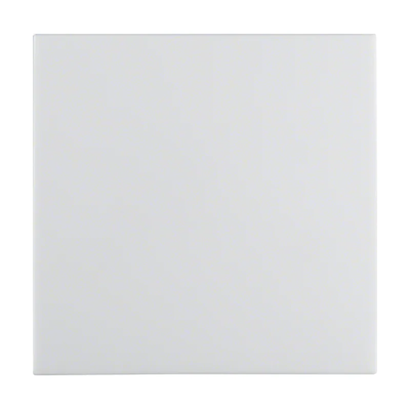 Berker Hager 16208989 placa de pared y cubierta de interruptor