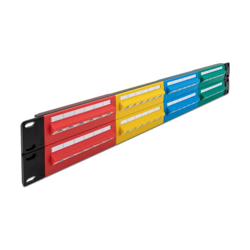 Delock Panel de Conexiones de 19" de 48 puertos Cat.5e 2U de colores