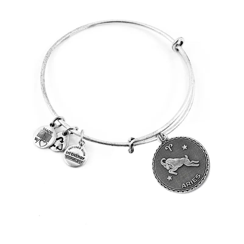 Alex and ani mujer alex and ani a07eb40arrs 19-25cm