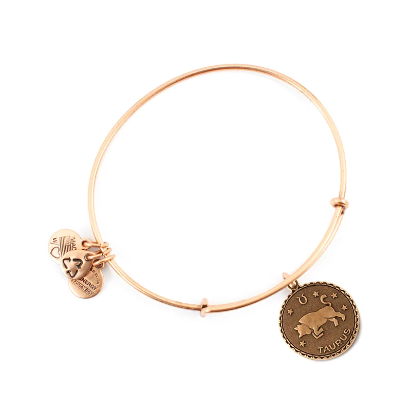 Alex and ani mujer alex and ani a07eb40targ 19-25cm