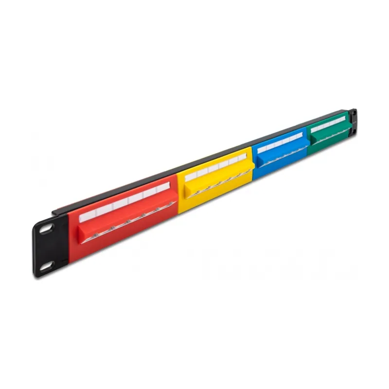 Delock Panel de Conexiones de 19" de 24 puertos Cat.5e 1U de colores