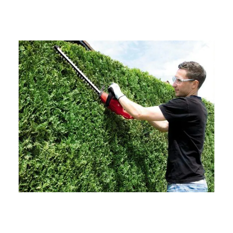 Einhell Recortasetos eléctrico con cable