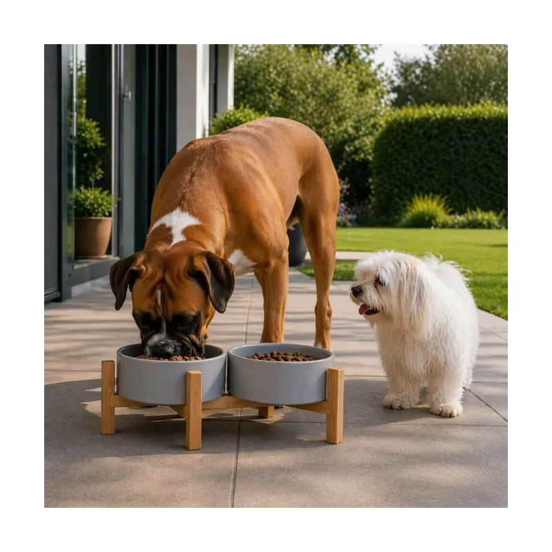 Leeby Comedero Doble de Cerámica con Soporte de Madera para perros
