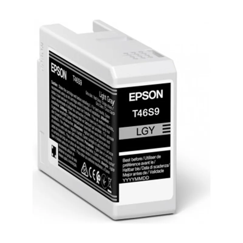 Epson Singlepack Light Gray T46S9 UltraChrome