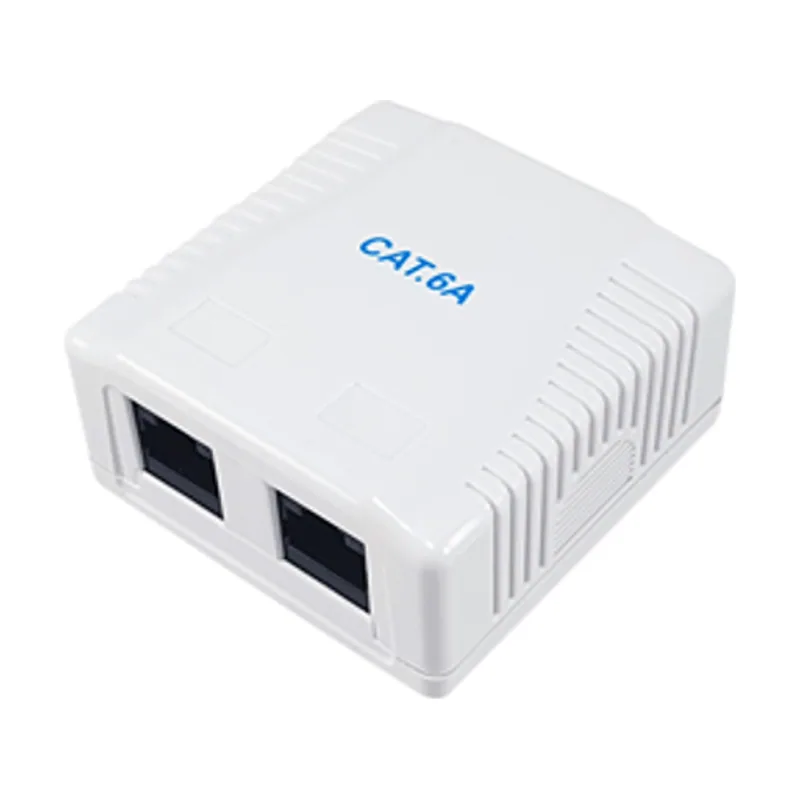 Equip Roseta DE Superficie 235216 Categoria 6A 2 Hembra RJ45
