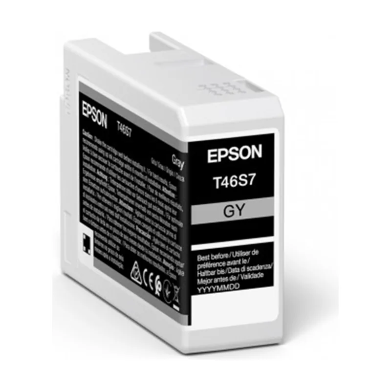 Epson Singlepack Gray T46S7 UltraChrome Pro 10