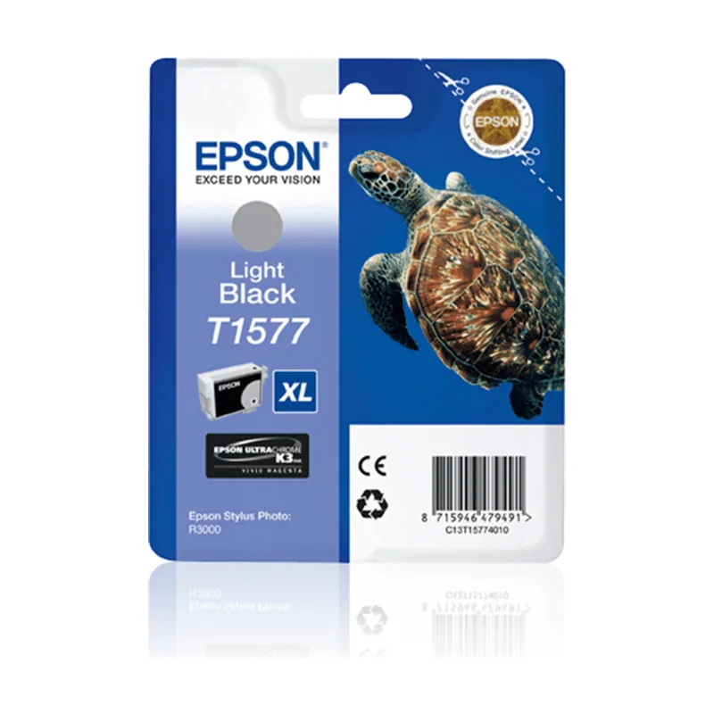 Epson Stylus Photo R3000 Cartucho